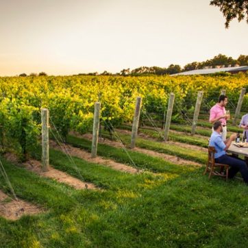 va-la-winery-wine-trail-philadelphia-towns1-1000vp-976x488